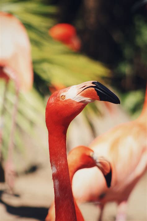 Majestic Photos, Download The BEST Free Majestic Stock Photos & HD Images