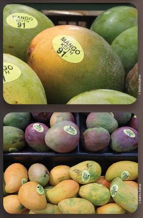 Dominican mango