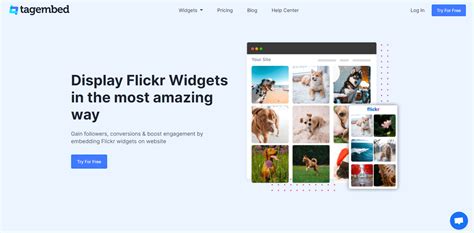flickr widget embed flickr album gallery  website tagembed