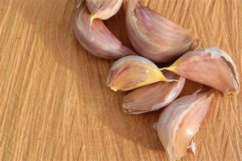 garlic cloves garlic images pixabay