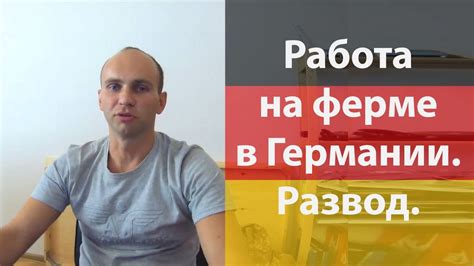 Робота на фермі в Німеччині | Работа на ферме в Германии / Развод #1 ...