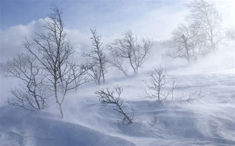 Snow Blizzard Wallpaper - WallpaperSafari