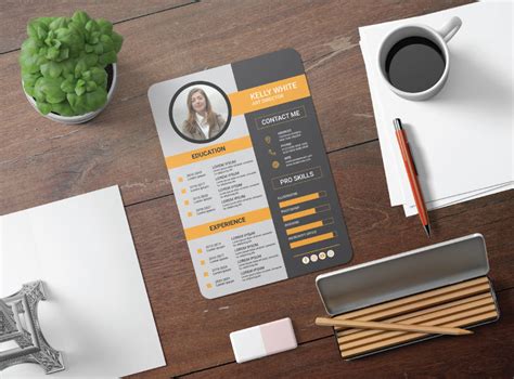 PROFESSIONAL RESUME DESIGN :: Behance