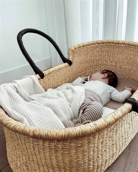 baby moses  basket