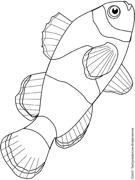 Clownfish Coloring Pages - Clownfish Drawing at GetDrawings | Free download : Clownfish is a ...