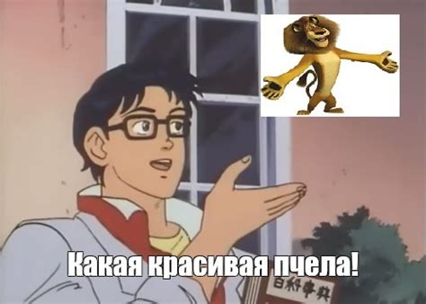 Мем: "Какая красивая пчела!" - Все шаблоны - Meme-arsenal.com