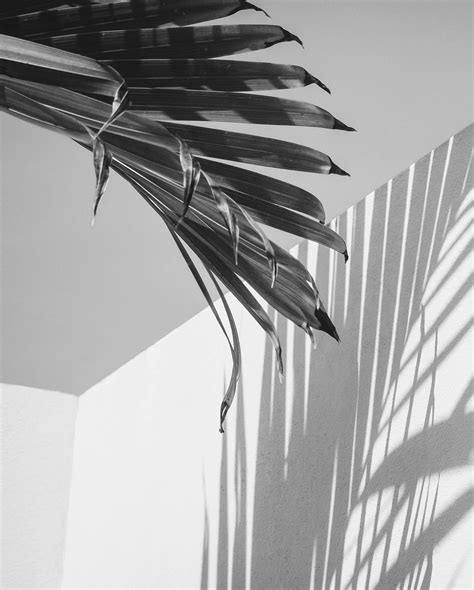 M I Z U K I. H I R A T A (@mimikickass) • Instagram photos and videos