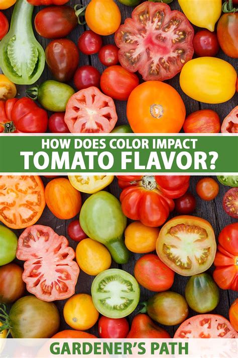 How Does Color Impact Tomato Flavor? | Gardener’s Path