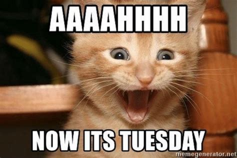 101 Funny Tuesday Memes When You're Happy You Made It