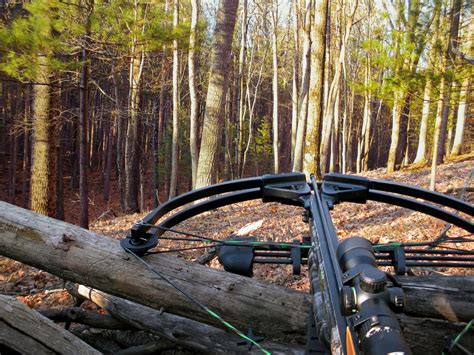 deer hunting  crossbows   global rule  global rescue