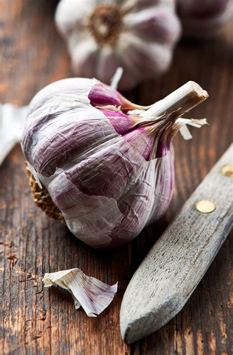 The Best Garlic Companion Plants For Your Garden