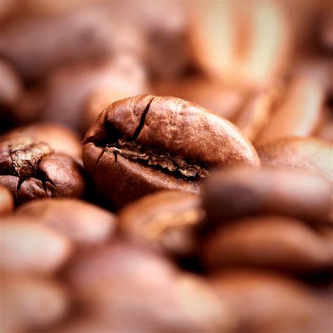 Exploring Specialty Decaf Coffee: Swiss Water Process And Beyond