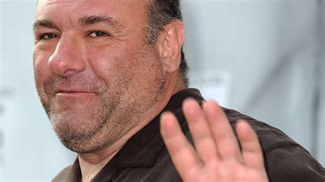 Gandolfini family statement... - Newsday