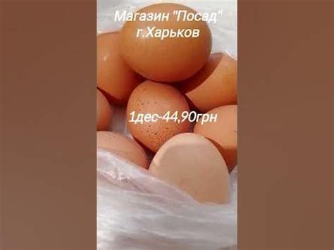 Цена за 1 десяток куриных яиц #яйцакуриные #яйца #ценывукраине # ...