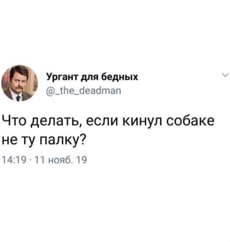 Панин, собака, два ствола : r/Pikabu