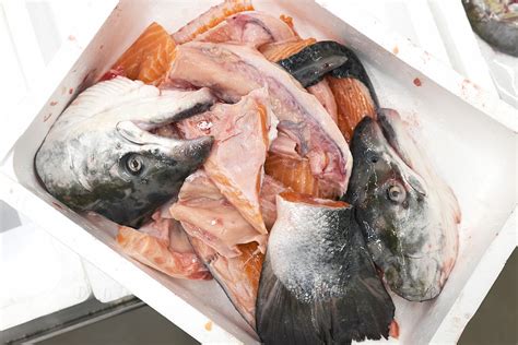 Tipos de Merma del Pescado y el Marisco | EsenciadelMar