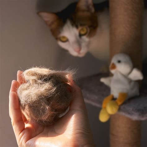 NATIONAL HAIRBALL AWARENESS DAY - April 26, 2024 - National Today