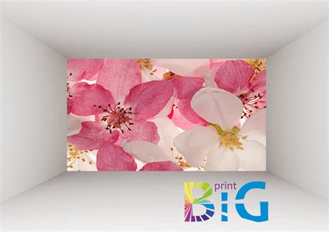 Фототапети на цветя – Външна реклама София | Big Print