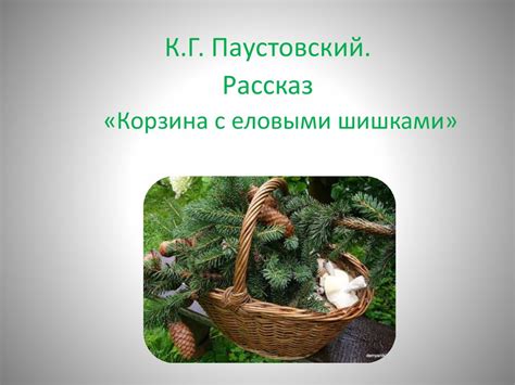 К.Г. Паустовский. Рассказ «Корзина с еловыми шишками» - презентация онлайн