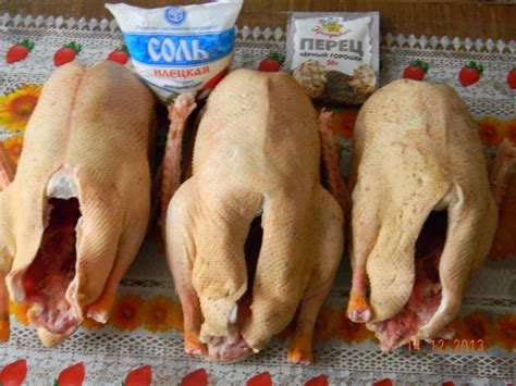 Хранение тушки утки / Энциклопедия / FoodbayBlog