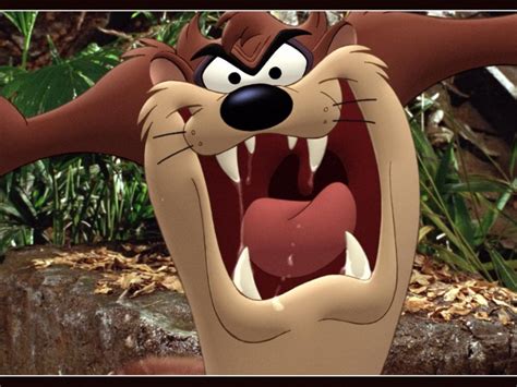 720P, Tasmanian Devil (Looney Tunes), TV Show, Looney Tunes HD Wallpaper