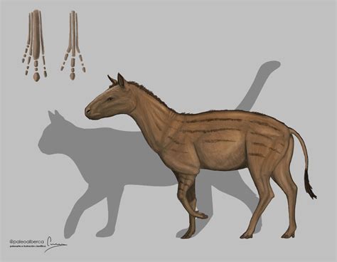 Early Horses | The Most Extreme Wiki | Fandom