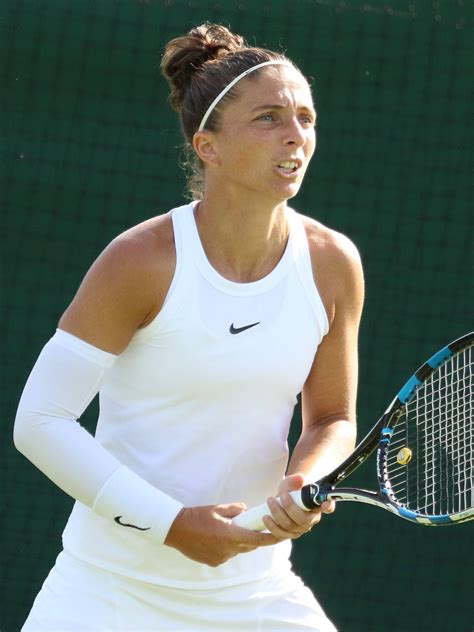 Download Sara Errani Focused Expression Wallpaper | Wallpapers.com