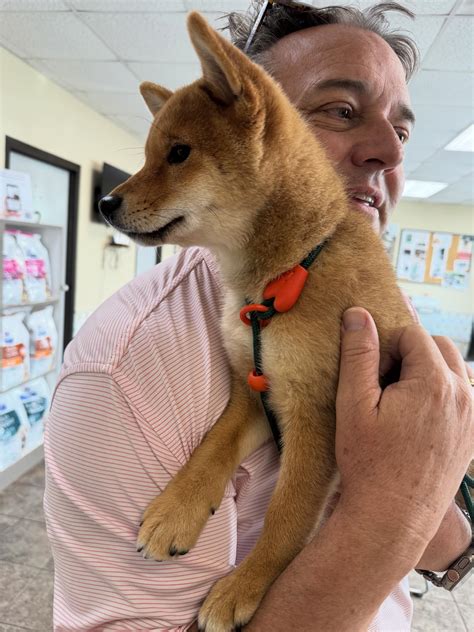 Hillsboro Animal Hospital | Nashville TN