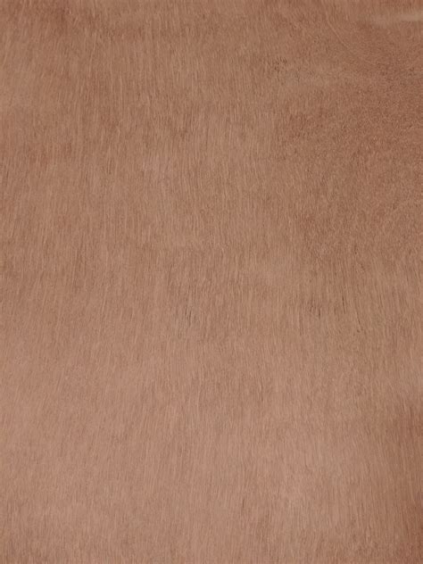 marine grade plywood wood shed