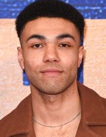 levi brown rotten tomatoes