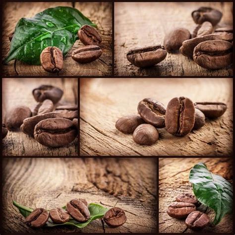 Обои для кухни кофе (65 фото)