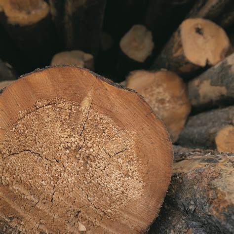 high marks  responsible wood sourcing room board