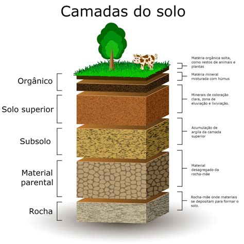 Pesquisa Sobre O Solo