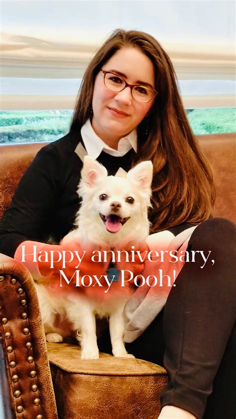 Remembering Dipper on the one-year anniversary of his passing 🕯️💞🐾