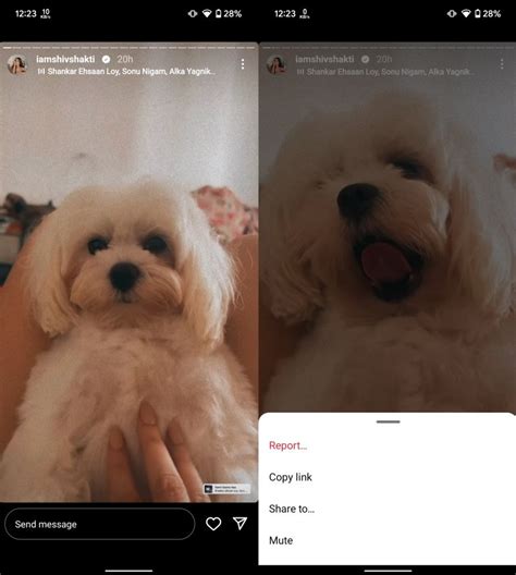 How to download Instagram Stories with music - Phandroid