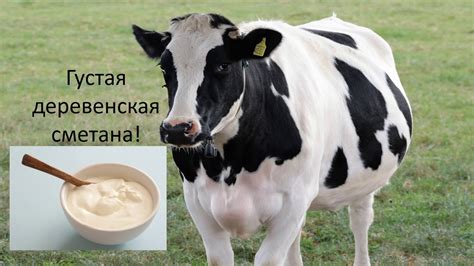 Молочка - YouTube