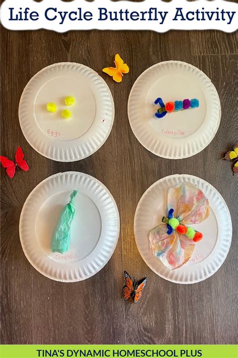 Life Cycle Of A Butterfly Activity For Kids - Free Math Worksheet Printable