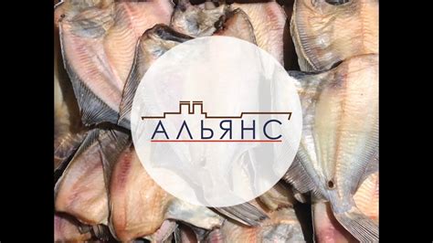Камбала без икры - YouTube