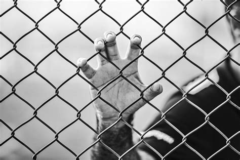 money funding  prison system good capital investment group