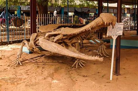Top 10 Most Dangerous That Ever Lived | MyDinosaurs