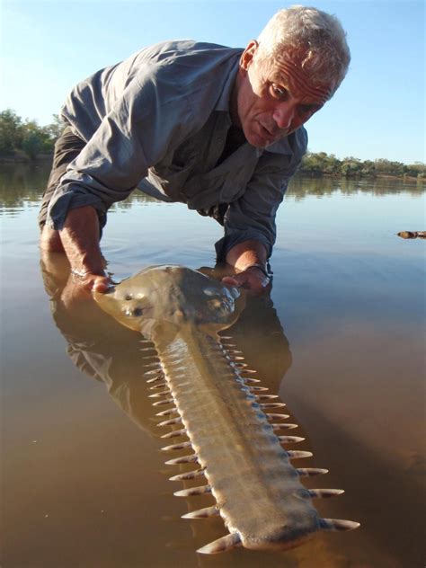 Pictures of Jeremy Wade