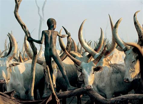 Племя Динка. Южный Судан | Tribos africanas, Povos tribais, Fotos