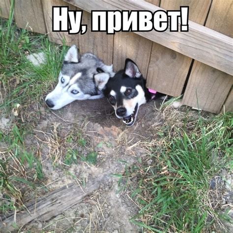 Подборка интересных и забавных картинок (120 фото)