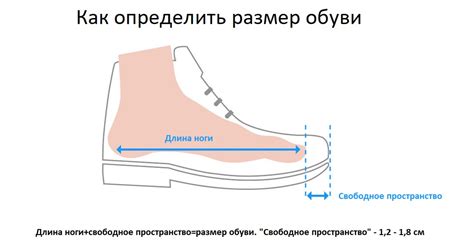 Как правильно выбрать размер кроссовок для ходьбы | НАШІ МАНДРИ