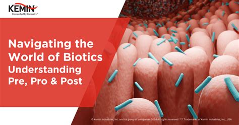 Navigating the World of Biotics: Understanding Pre, Pro, and Post
