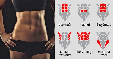 5 минут на пресс для занятого утра. Экспресс-метод избавления от ...