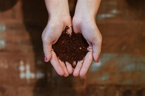 science  composting practical tips  benefits