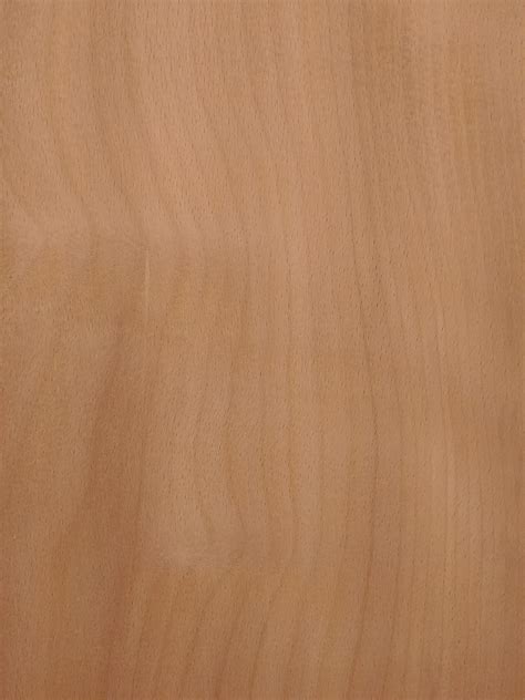 European Beech - Wood Shed