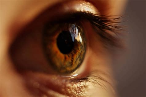 Guide to Pink Eye Symptoms in Adults - Air Doctor