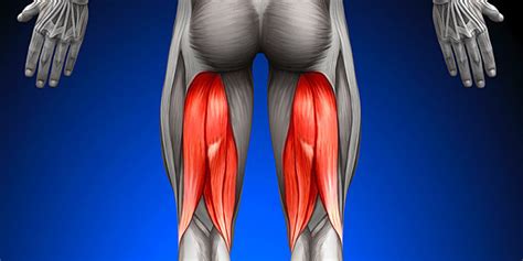 hamstrings  body junction pilates yoga